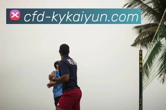 开云官方网站平台生态图